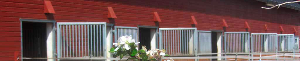 Tallipaikat